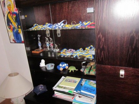 Här är några  av mina medaljer som  jag fått genom idrotten.