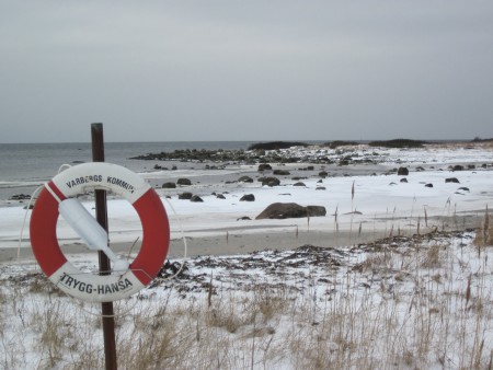 Efter att det har regnat stora delar av december 2013 och halva jan. månad 2014, så kom snön.