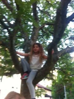 Men vem sitter i trädet?