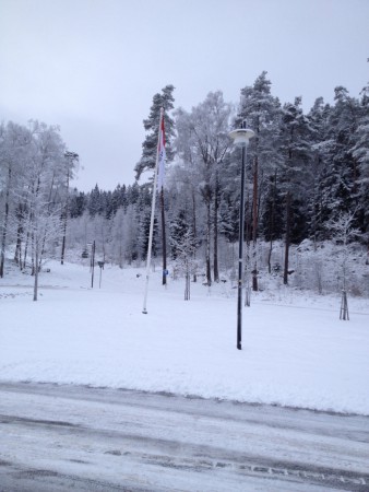 Det var lite snö i Stockholm. Här har vi stannat och rastat utanför Borås.
